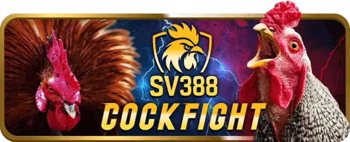 Chơi thử trước khi đặt cược lớn